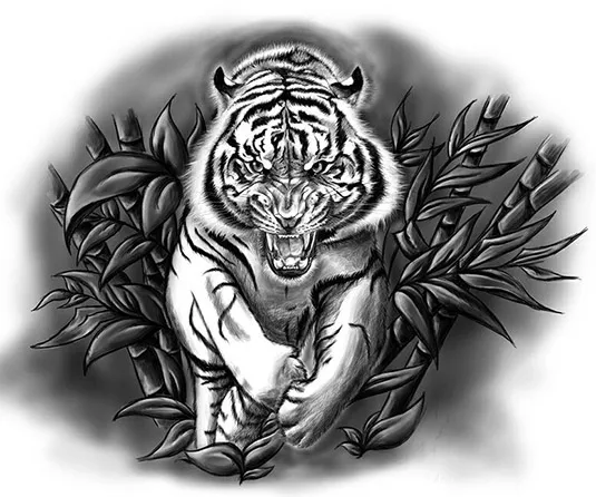 Оскал тигра. Фото, значение, на плече, грудине, руке, ноге 2