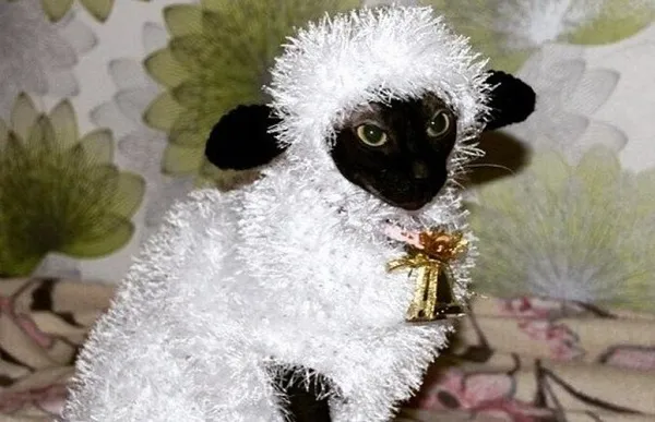костюм овечка на новый год