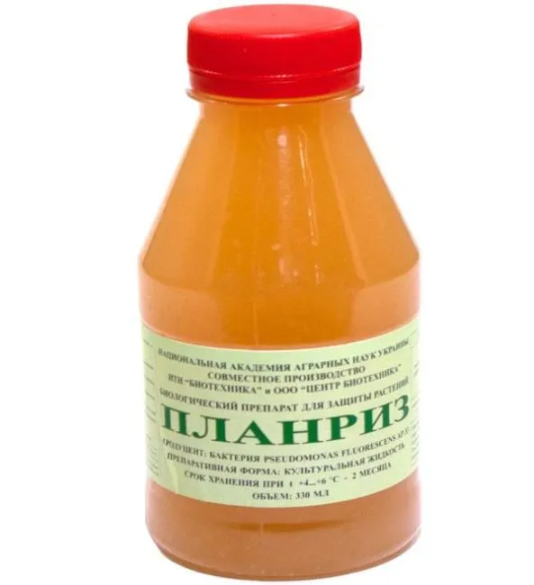Флакон с жидким препаратом Планриз для борьбы с мучнистой росой и другими болезнями томатов