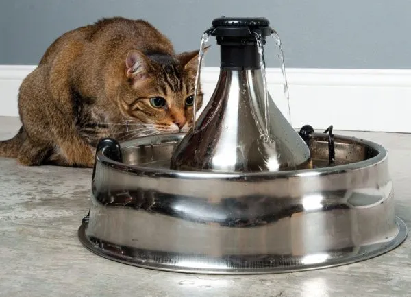 Автопоилка-фонтан для кошки