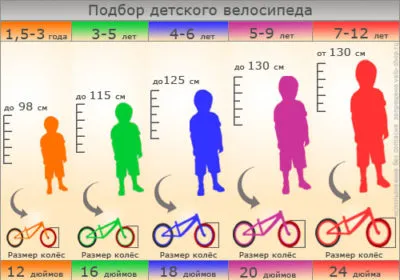 Виды детских велосипедов