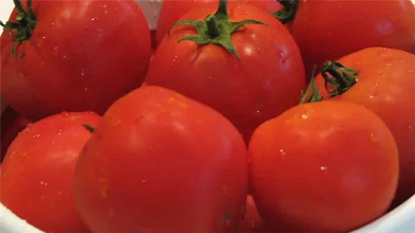 Получаем высокий урожай при минимальных затратах и рисках, выращивая помидор 