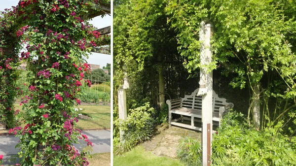 Слева: плетистый рамблер способен стать декоративной доминантой малого сада. Справа: В тени плетистой розы скрывается уголок отдыха со скамьей. Фото автора