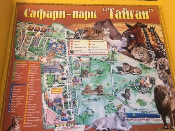Тайган - сафари парк в Феодосии