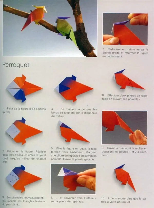 Как сделать оригами попугай - делаем поделку с детьми быстро и просто из модульных элементов 10