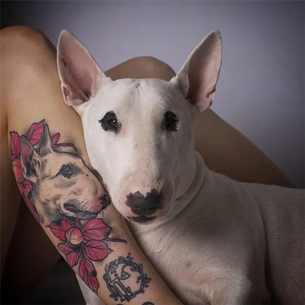 татуировка собаки