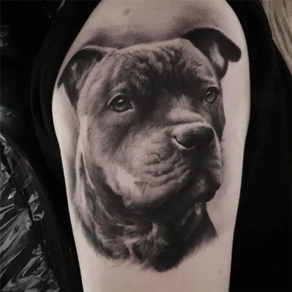 татуировки с собаками
