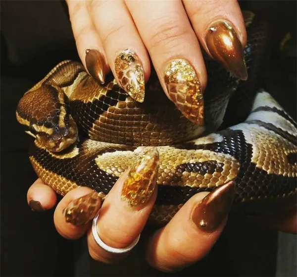 Маникюр змея: экзотический принт в 100 модных идеях дизайна 29
