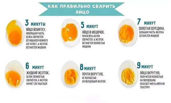 Как сварить яйца, чтобы они не треснули 8