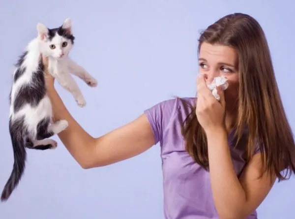 8 способов избавиться от кошачьего запаха, о которых мало кто знает 6