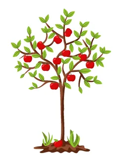 Выращивание яблони Марат Бусурин 5