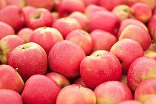 Яблоки Пинк Леди — полное описание сорта 5