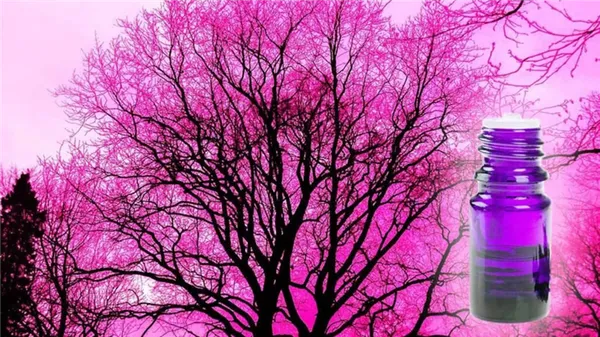Масло розового дерева: свойства и применение 32