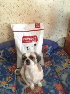 Особенности кормов Provipet provipet корм для собак 18