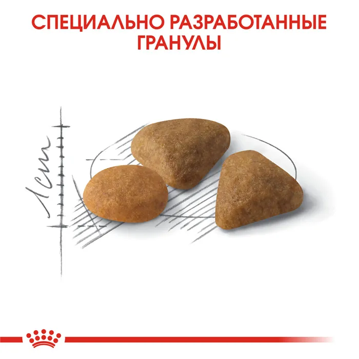 Royal Canin Exigent Ароматик сухой корм для кошек, привередливых к аромату продукта 7