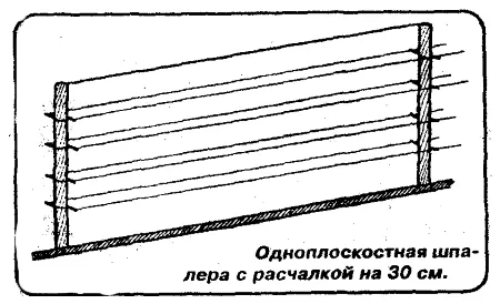 Трикотажные кольца для крепления винограда