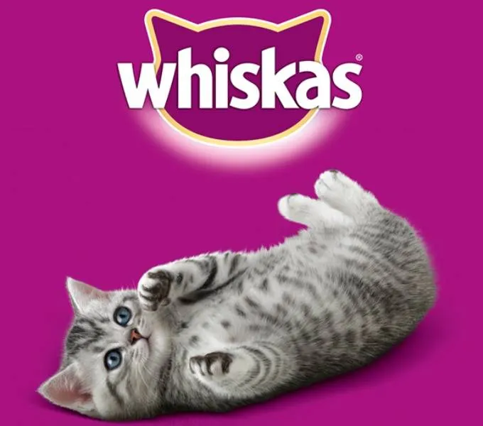 Корм для кошек и котят Whiskas (4 отзыва): детальный разбор ассортимента и составов, сильные и слабые стороны 7