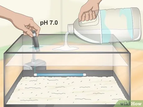 Step 3 Наполните аквариум подходящей пресной водой.