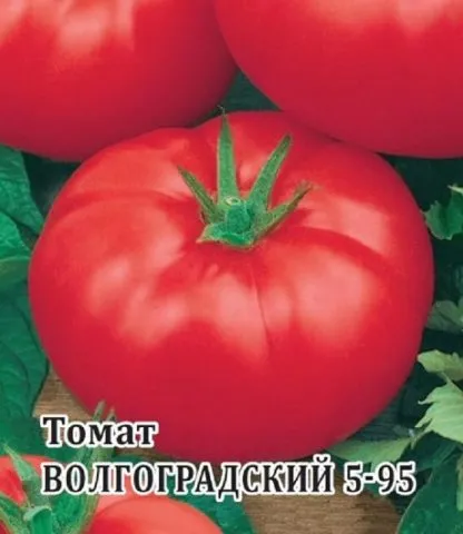 Семена томат Волгоградский 5/95 0,1г 3