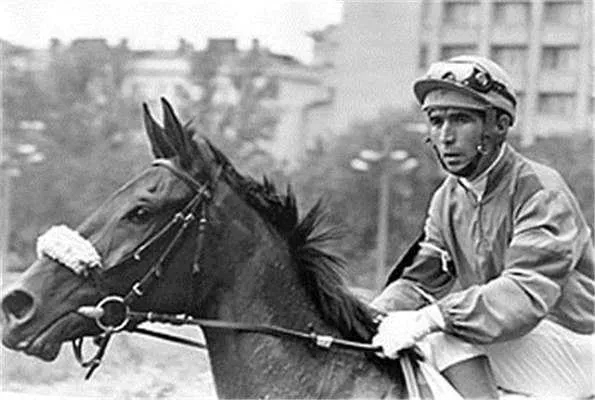 Характеристика женщины Стрельца, рожденной в год Змеи — особенности, качества и совместимость 51