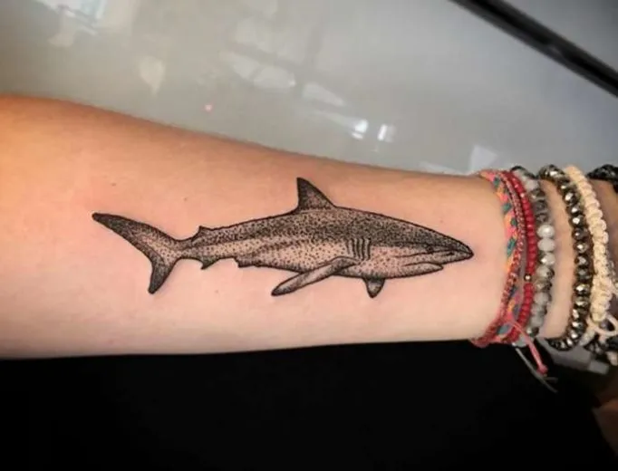 tattoo-shark-k5w43u24y3etgwfs