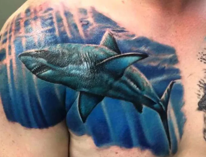 tattoo-shark-mjhuktd57i46u3y4wte