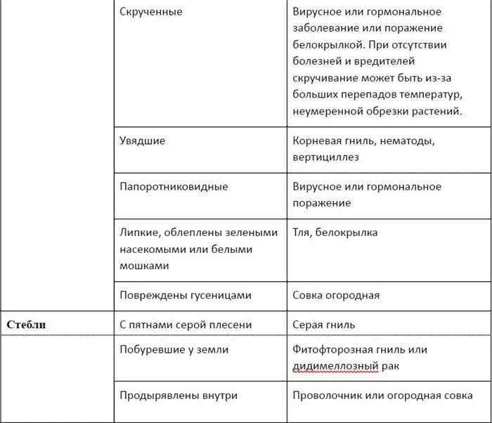 таблица с описанием болезней томатов