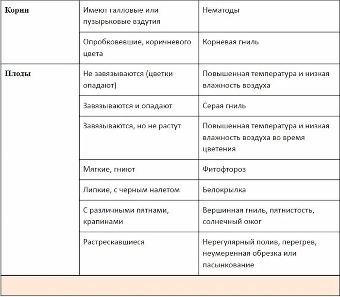 болезни томатов и их симптомы