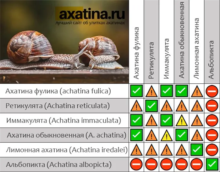 Таблица уживаемости разных видов ахатин. CC0