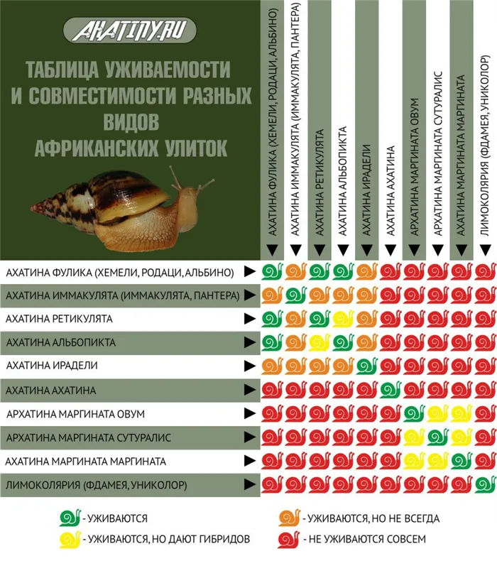 Таблица сосуществования улиток в Африке