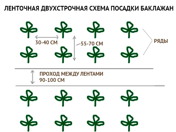 Семена Дельфиниум Синяя птица, 0,05г, Гавриш, Цветочная коллекция