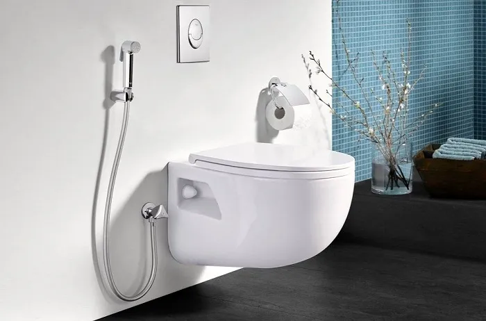 Особенности душа Hansgrohe 4