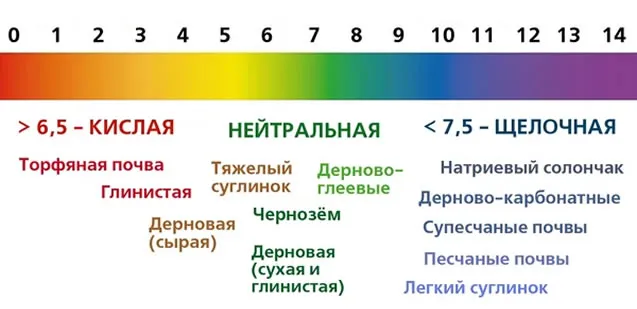 Кислотность почвы