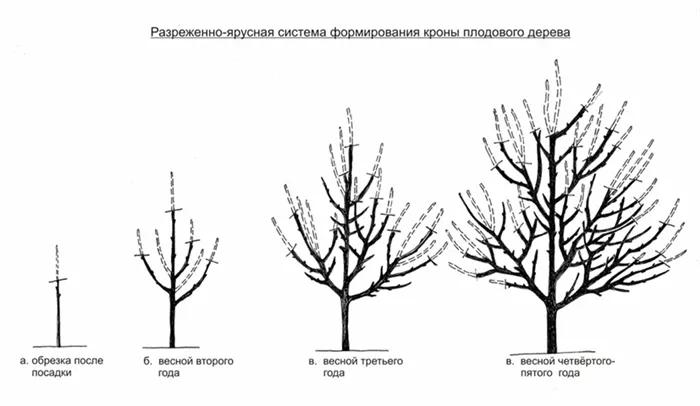 obrezka 6