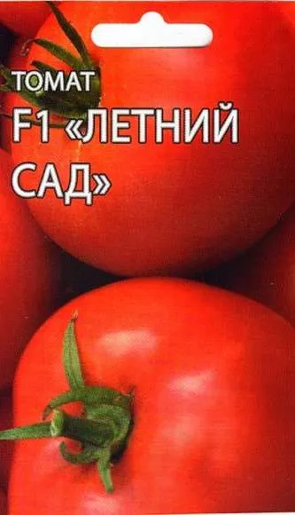 Томат Летний сад