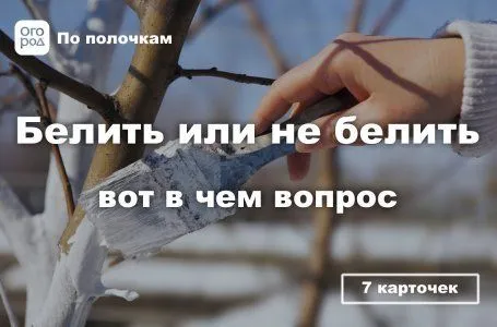 Меры борьбы и профилактика