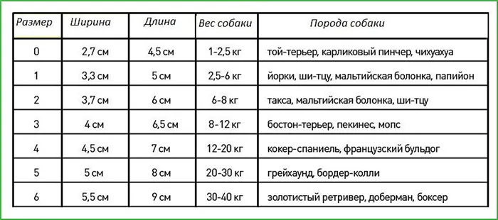 Обувь для собак: советы по выбору 5