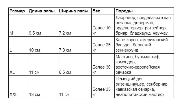 Обувь для собак: советы по выбору 2