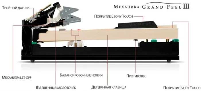 GFIII-action_labels_rus.jpg