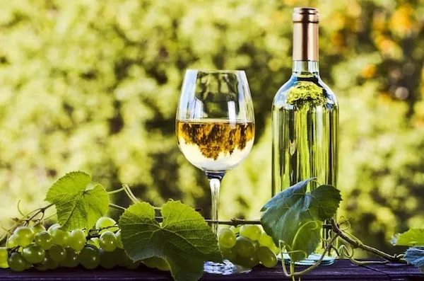 Сорт винограда Рислинг (Riesling): описание и характеристика, фото 7